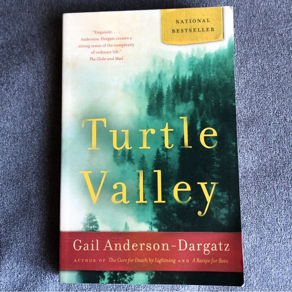 Turtle Valley ~ Gail Anderson-Dargatz ~ 🇨🇦 ~ Paperback